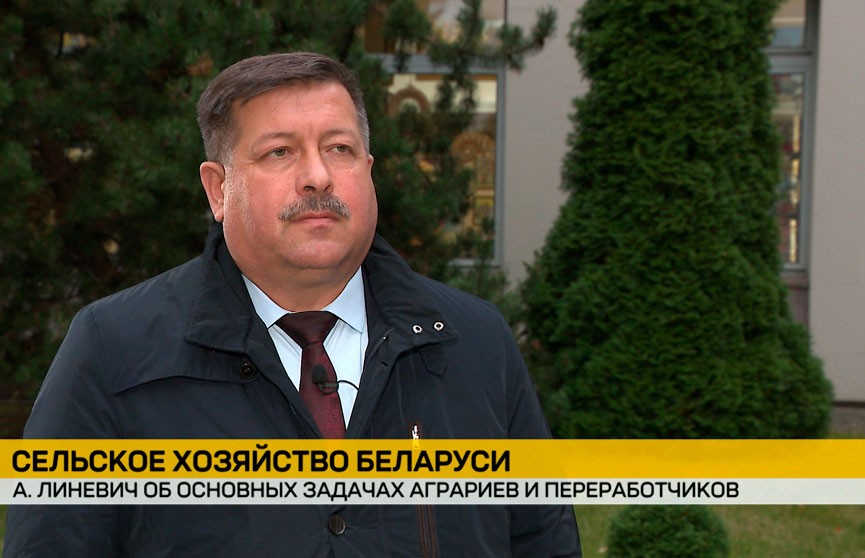 Анатолий Линевич: Сил и таланта у наших аграриев достаточно, чтобы выполнить поставленные Президентом задачи