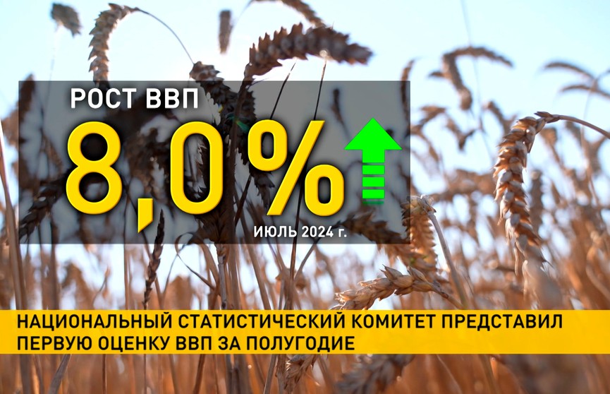 Национальный статистический комитет представил оценку ВВП за полугодие