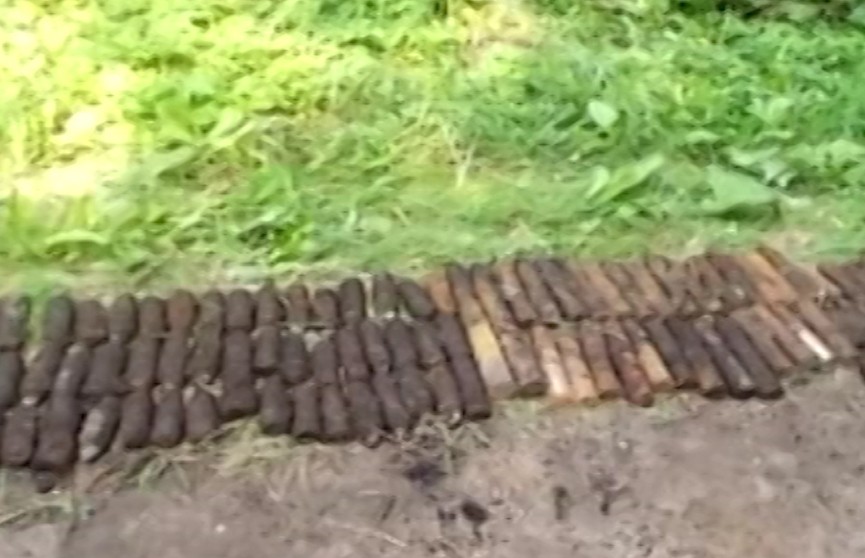 ​Более 100 артиллерийских снарядов нашли в лесу на Витебщине