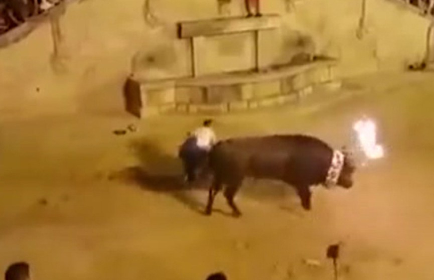 ​Разъярённый бык начал терзать туриста во время фестиваля в Испании