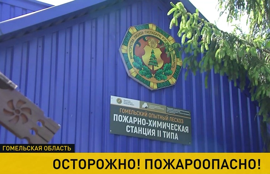 Запреты на посещение лесов введены в 11 районах Гомельской области