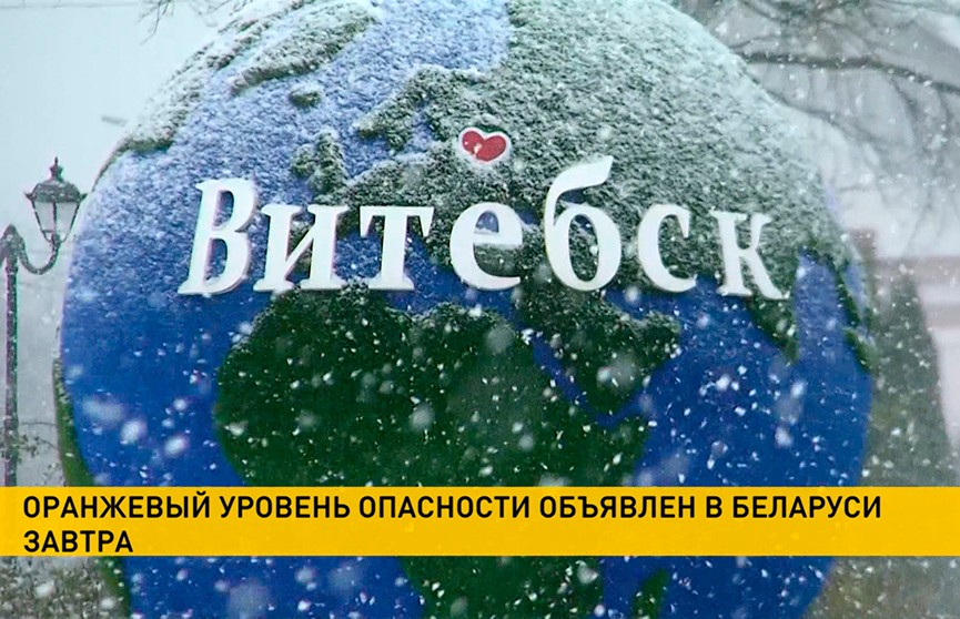 Снег в Беларуси прогнозируют синоптики 8 ноября