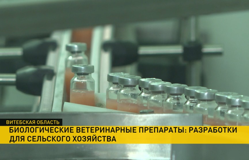 Отечественный производитель вакцин для животных «Белвитунифарм» выпустит новые востребованные препараты: спрос на белорусское растёт