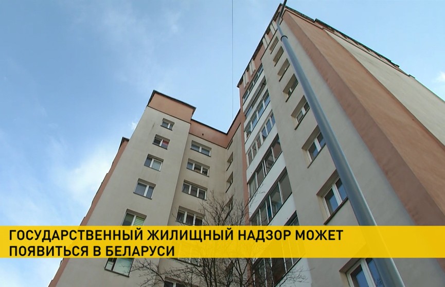 В Беларуси может появиться жилищный надзор. Что он будет из себя представлять?