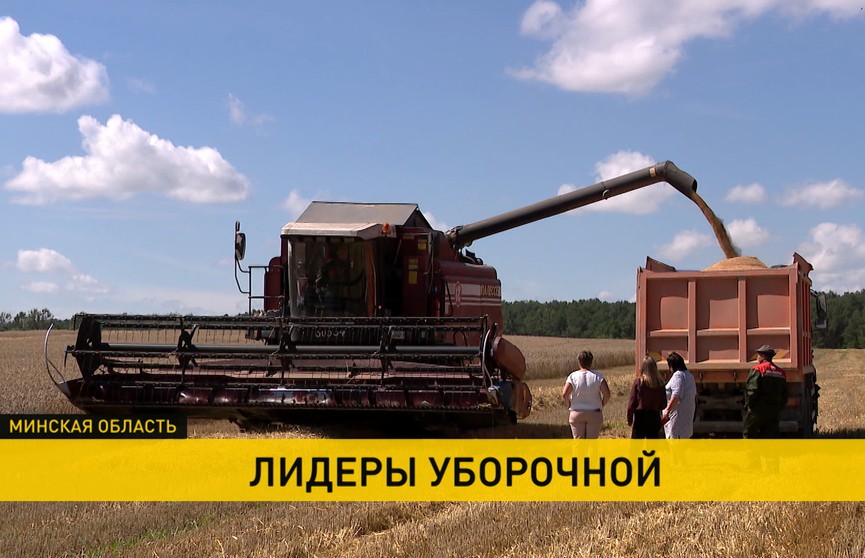 Хозяйство «Ворони» Столинского района первым завершило уборку зерновых
