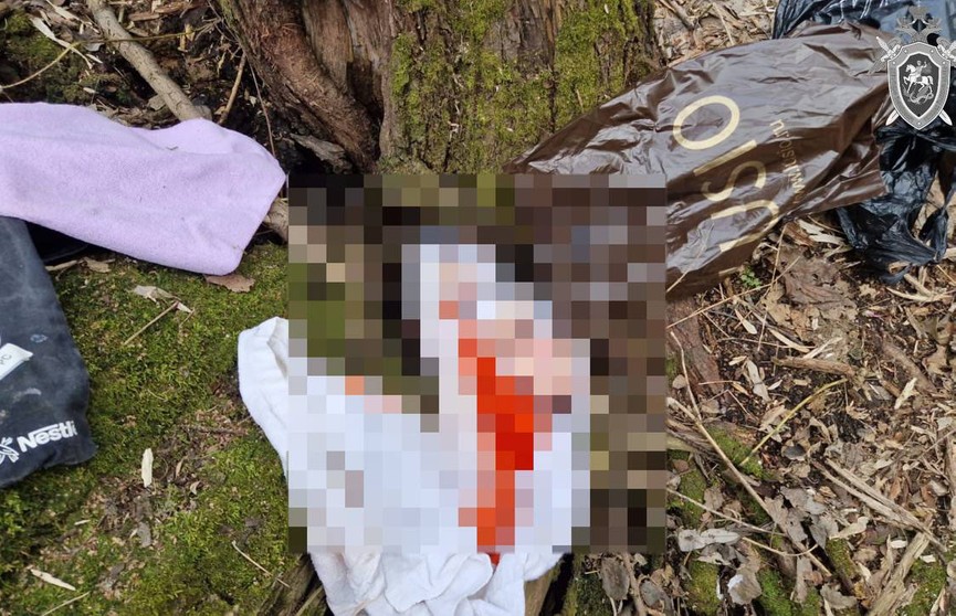 В парке на востоке Москвы найдено тело новорожденного, завернутое в пакет