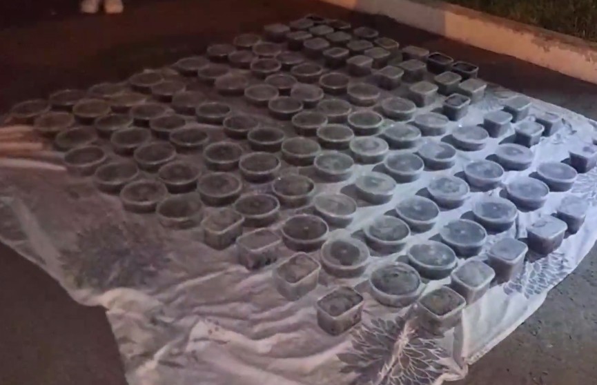 В автомобиле жительницы Хабаровска найдено 111 контейнеров с черной икрой