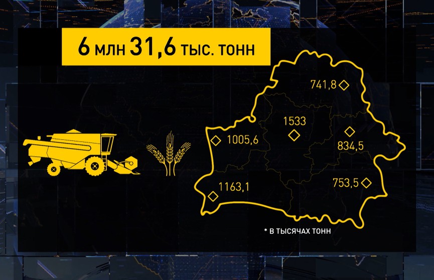 Жатва-2021: осталось обмолотить всего 6% полей страны