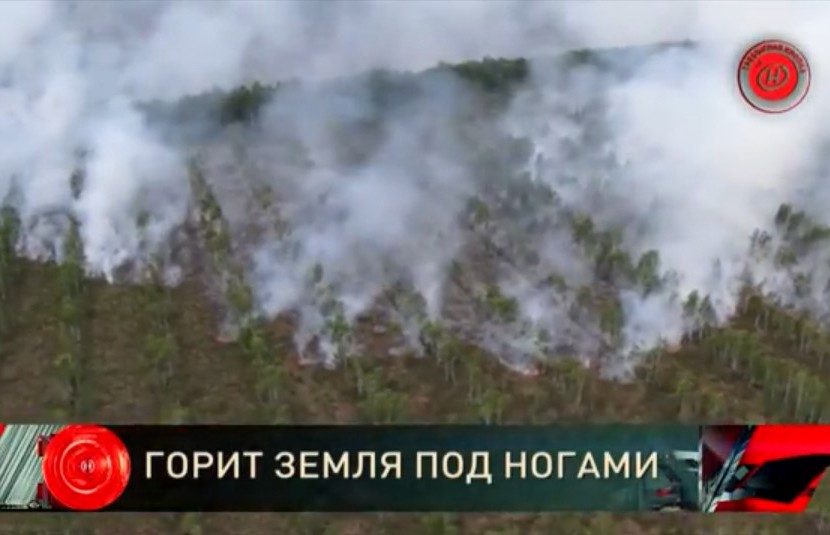 Загорелся торфяник в Витебском районе: на тушение пожара были направлены 7 спецмашин и более 30 спасателей