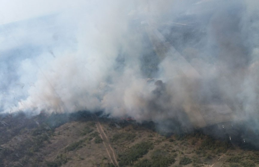 МЧС продолжает бороться с лесным пожаром на Ольманских болотах