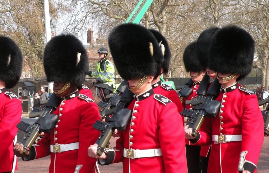 В Лондоне королевский гвардеец во время марша прошелся по ребенку (ВИДЕО)
