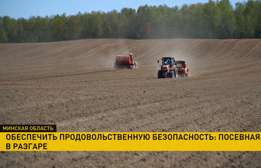 Посевная в разгаре. В Минском районе многие хозяйства уже завершили сев ранних яровых