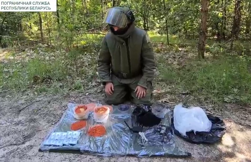 ГПК Беларуси: На границе с Украиной обнаружен тайник с пластичной взрывчаткой