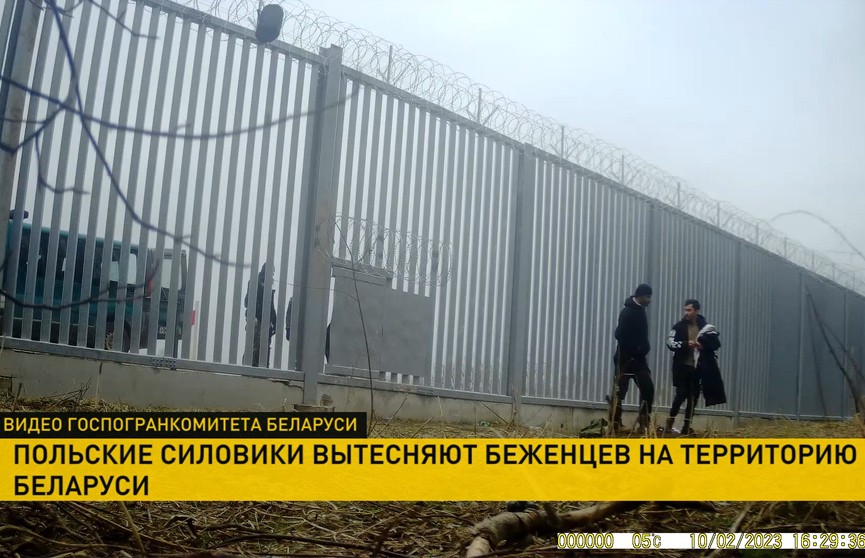 Польские пограничники продолжают выталкивать беженцев на территорию Беларуси
