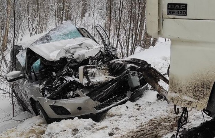 Авария в Быховском районе: столкнулись легковушка и грузовик (ФОТО)