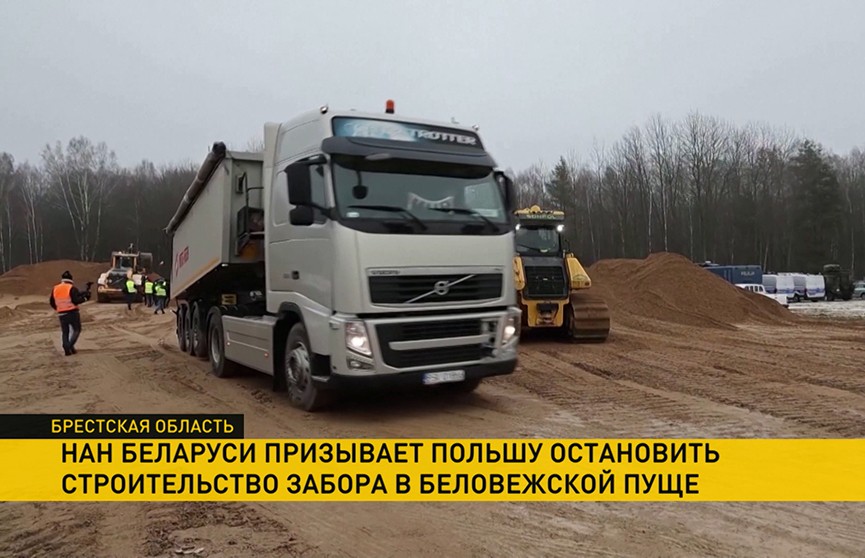 НАН Беларуси призывает Польшу остановить строительство забора в Беловежской пуще