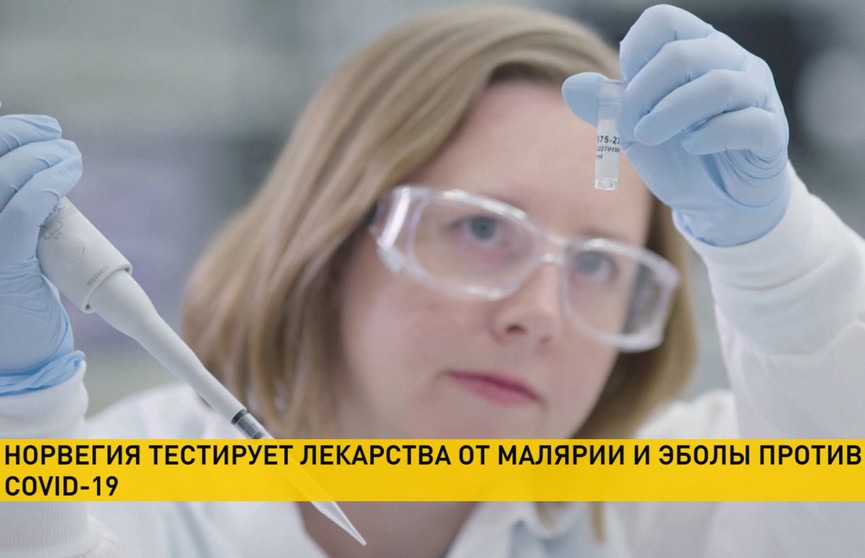 ВОЗ о коронавирусе: Беларусь на ранних стадиях отлично справляется