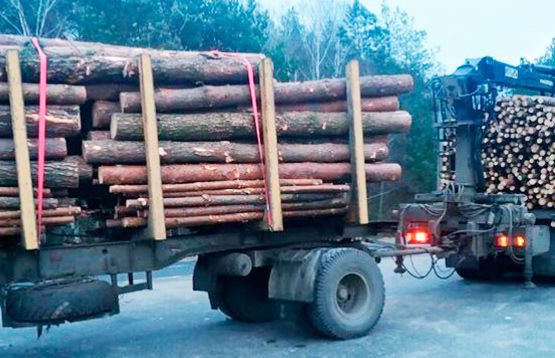 Лесовоз, перевозивший брёвна с нарушением правил, остановили сотрудники ГАИ