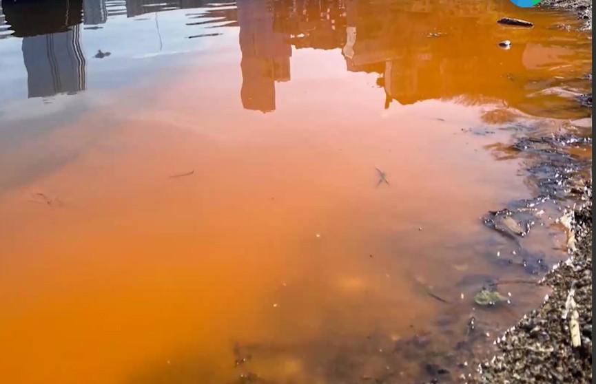 Во Владивостоке море приняло огненный оранжевый цвет (ВИДЕО)