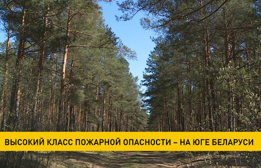 На юге страны вновь введены запреты на посещение лесов