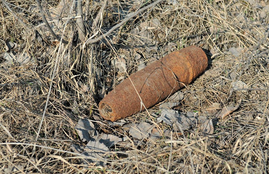 Под Витебском грибник обнаружил склад с боеприпасами времен войны