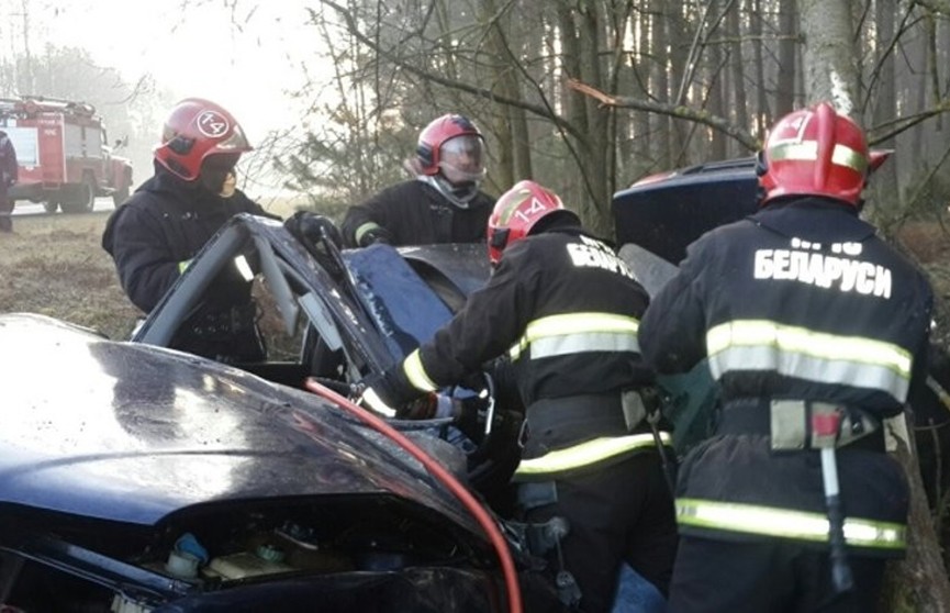 Машина врезалась в дерево в Брестском районе: водителя доставали спасатели