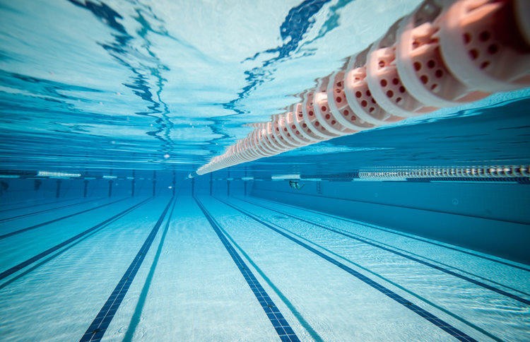 Лукашенко: плавание и лёгкую атлетику нужно носить на руках