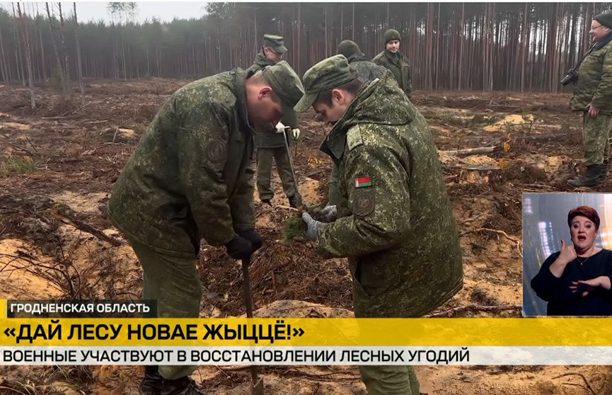 Белорусские военные присоединились к акции «Дай лесу новае жыццё!»