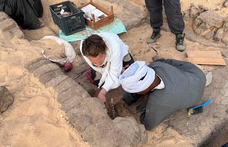 В Египте обнаружены кувшины с вином старше 5 тыс. лет