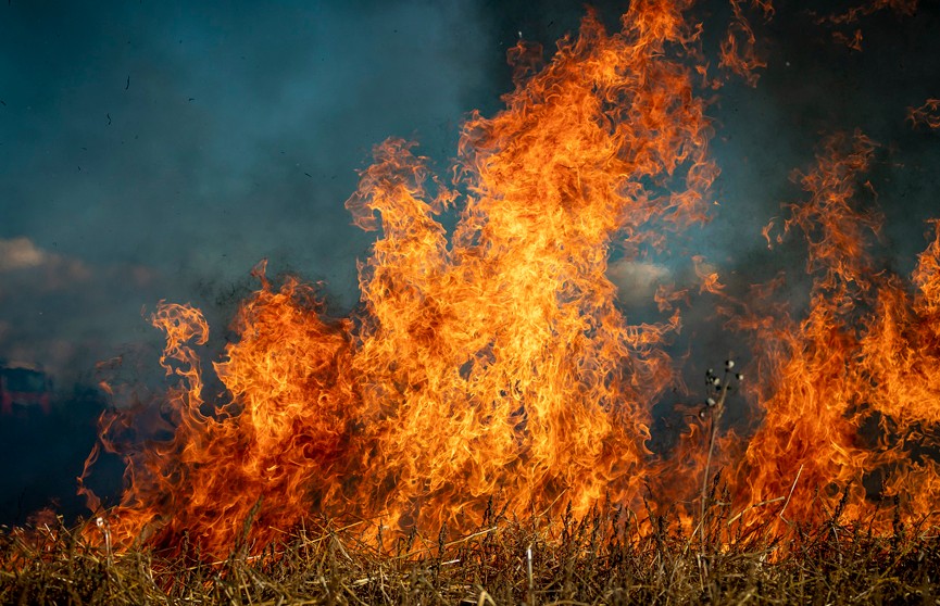 В Минской области за сутки произошли 13 пожаров в экосистемах
