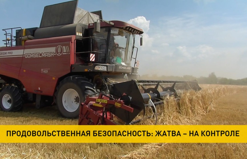 Госконтроль: Факты низкой готовности зерноуборочных комбайнов выявлены более чем в половине проверенных хозяйств