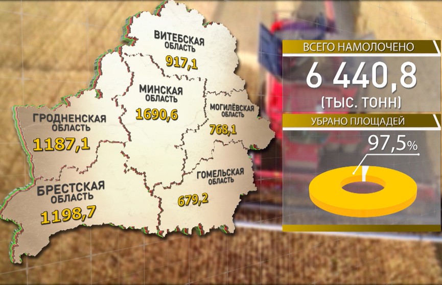 Всего 2,5% площадей зерновых осталось обмолотить аграриям