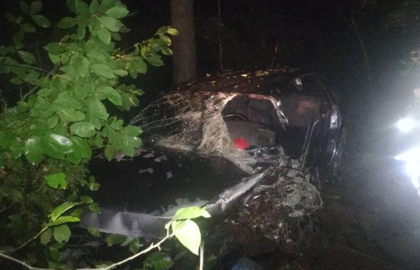 Volkswagen Passat врезался в дерево в Каменецком районе: водитель погиб