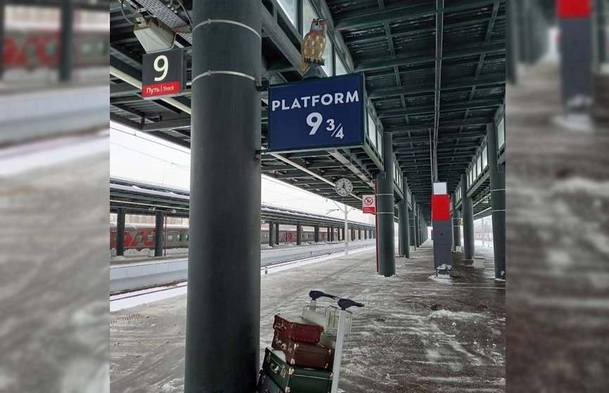 В Санкт-Петербурге появилась знаменитая платформа из «Гарри Поттера»