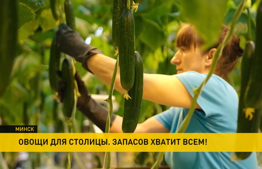 Дефицита не будет! О том, как Минске формируют стабилизационные фонды овощей и фруктов. Рубрика «В Центре»