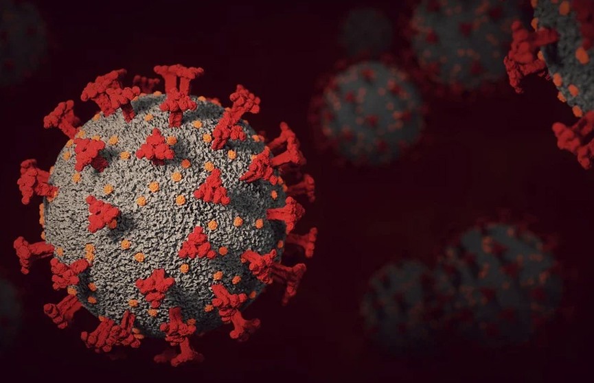 Ученый назвал вероятную версию возникновения «омикрон»-штамма коронавируса