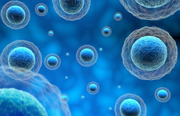Для лечения рака создали искусственные клетки