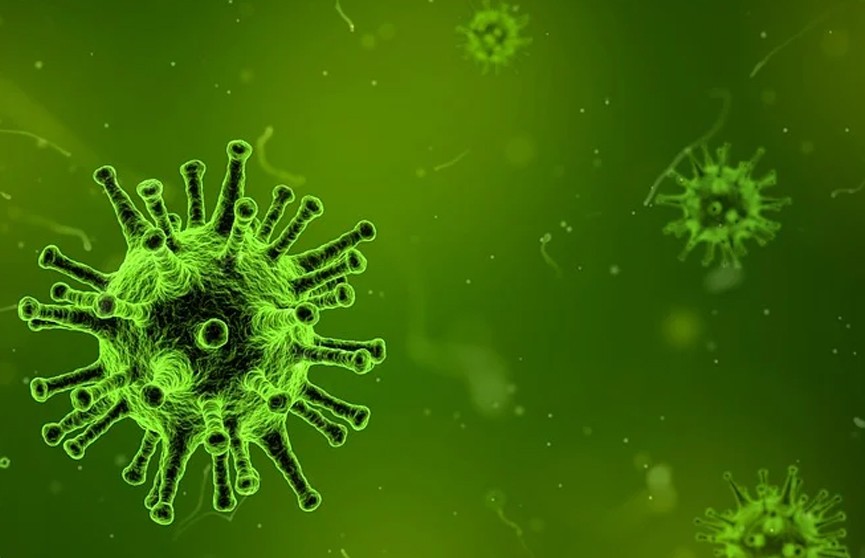 Ученые узнали о произошедшей 20 тыс. лет назад эпидемии коронавируса