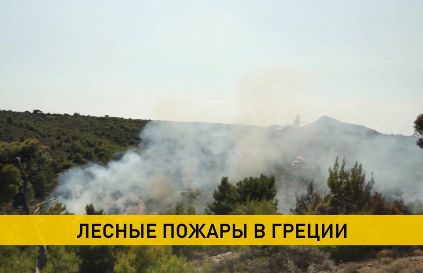 Лесные пожары на греческом острове Эвбея: введен режим чрезвычайного положения