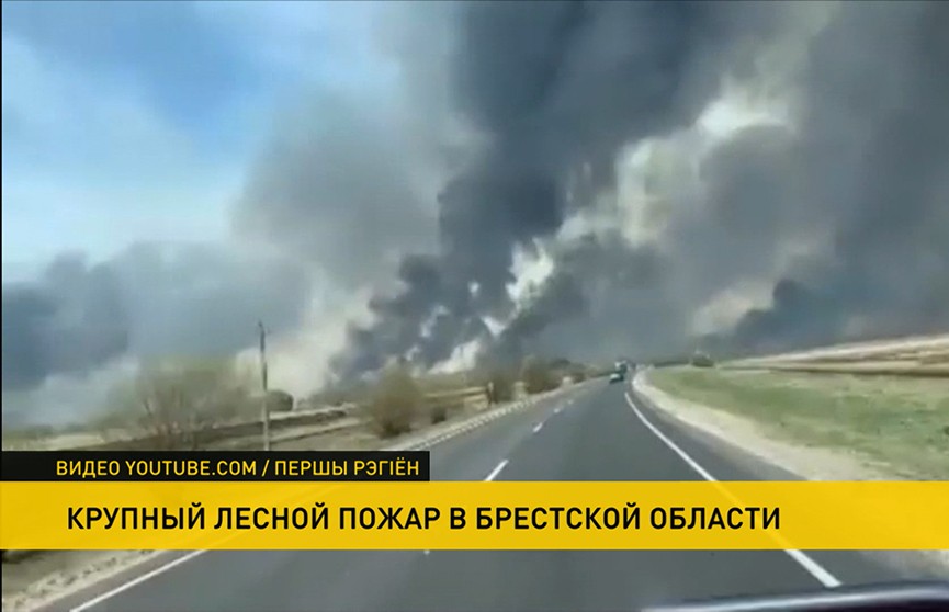 Лесной пожар произошёл в Брестской области: огонь уничтожил 12 строений