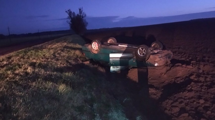 Водитель попытался избежать встречи с косулями и вылетел в кювет в Гродненском районе