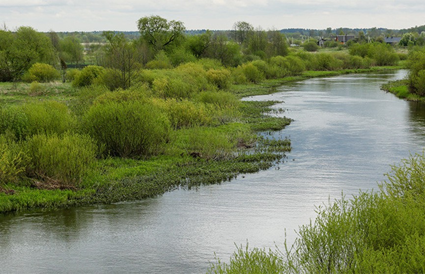 Подросток утонул в реке в Пуховичском районе