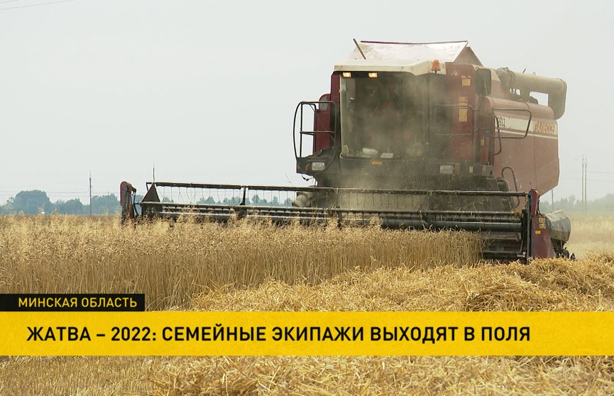 Полтора миллиона тонн зерна уже в закромах: как проходит уборка урожая в Беларуси?