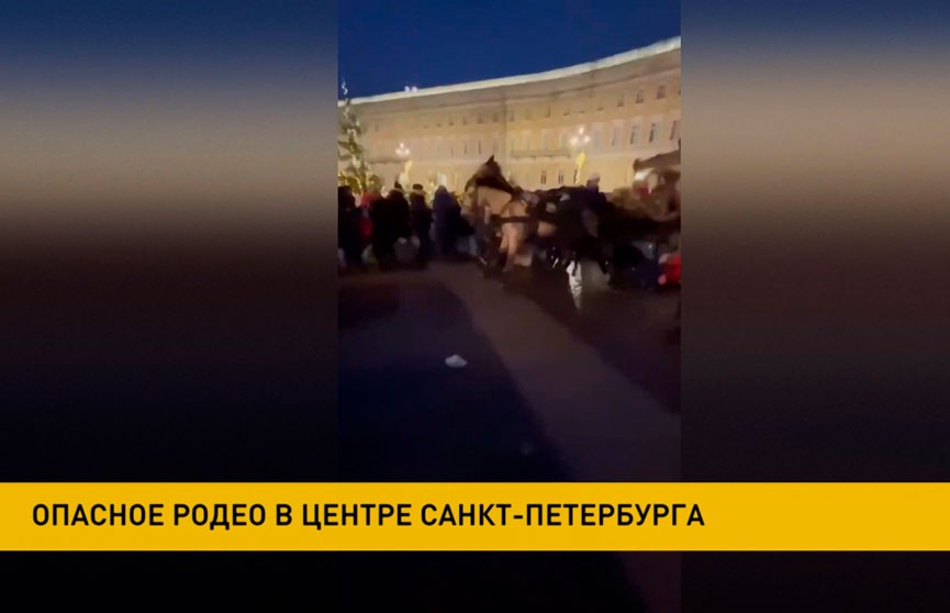В центре Санкт-Петербурга мужчина пытался оседлать лошадь, запряженную в карету