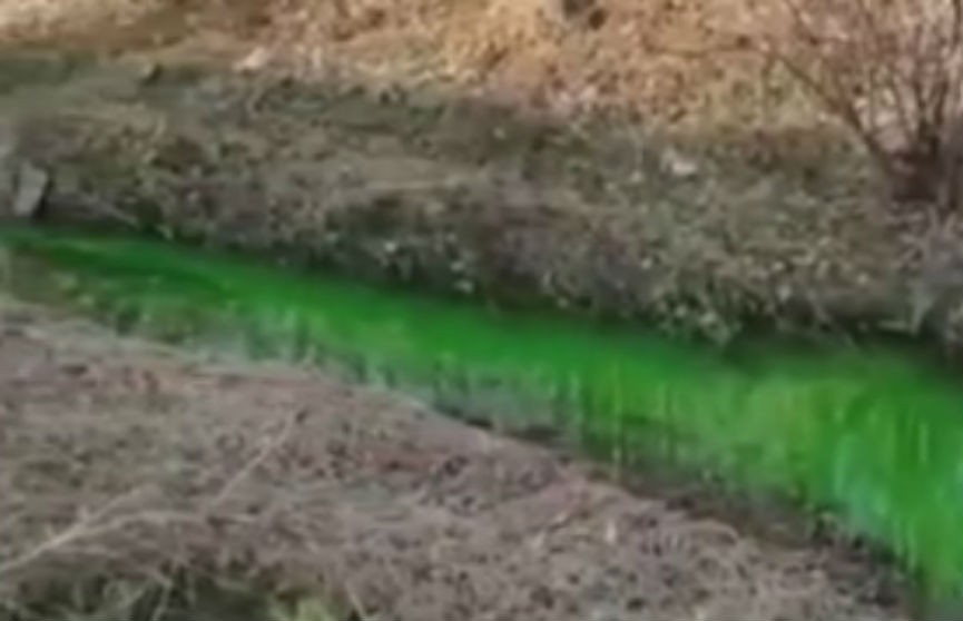 В России одна из рек окрасилась в ярко-зеленый цвет