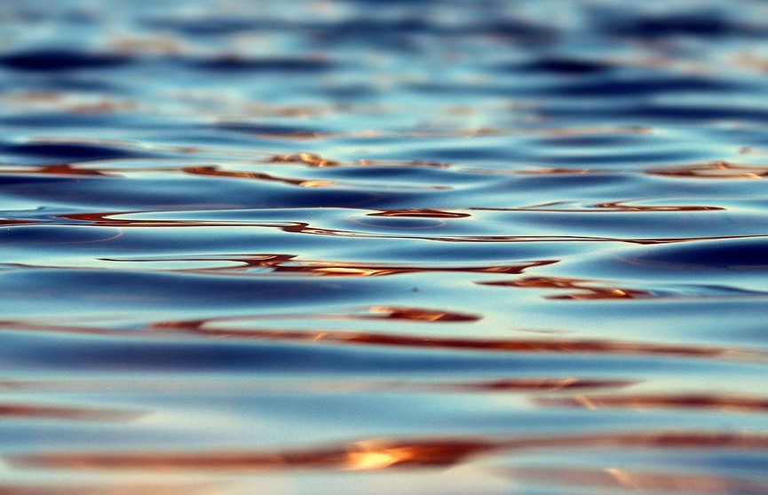 Девушка утонула в техническом водоеме в Минске