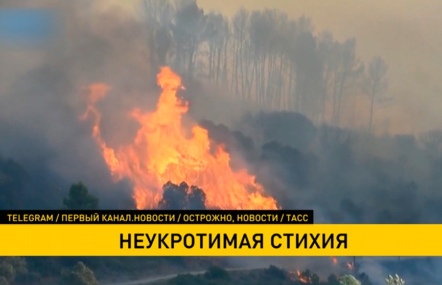 Аномальная жара спровоцировала крупные лесные пожары в Европе и России
