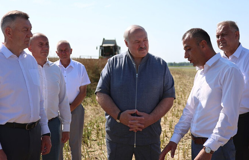 Александр Лукашенко проинспектировал ход уборочной кампании в Минском районе. Каковы впечатления Президента
