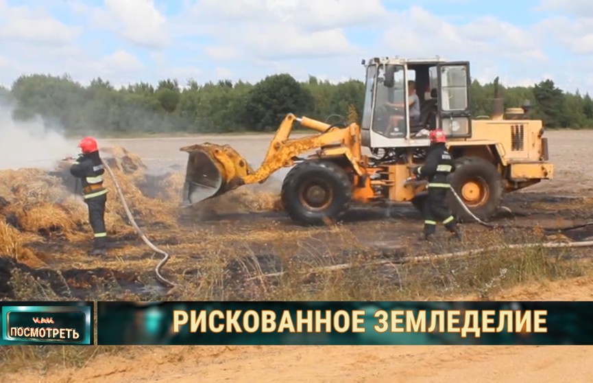 Опасности сельского хозяйства: трагедии на уборке в Беларуси