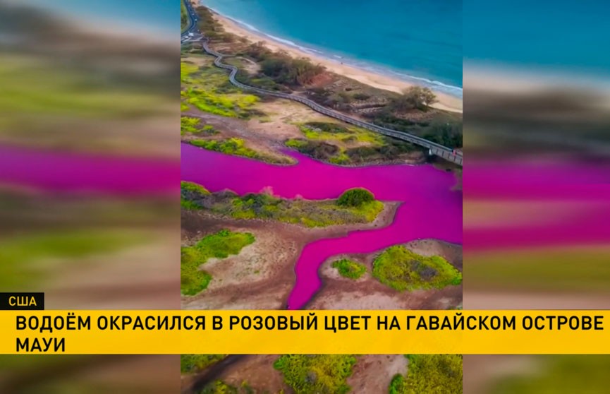 На Гавайях водоем внезапно окрасился в розовый цвет